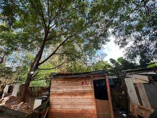 MS tem o 2&ordm; maior percentual de moradores de favelas em &aacute;reas arborizadas