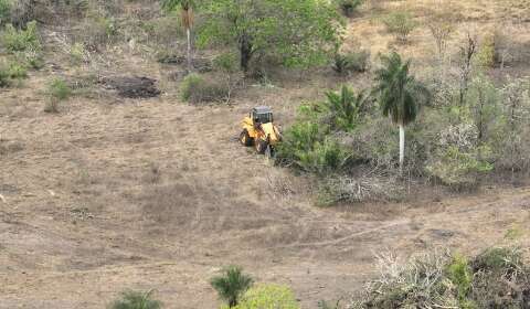 Pantanal caminha para o fim, com 97% de terras privadas e 82% menos &aacute;gua  