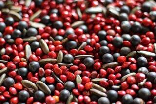 Para livrar cliente de mau-olhado, Dona Hildinha benze colares &agrave; venda