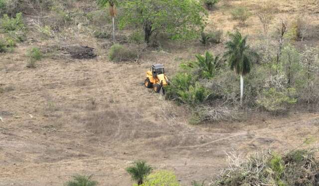 Pantanal caminha para o fim, com 97% de terras privadas e 82% menos &aacute;gua  