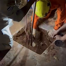 Gato cai em fossa por buraco de suspiro e fica preso a 4 metros de profundidade