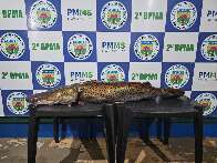 Pescador flagrado com peixe de 21 kg é multado em R$ 33,8 mil