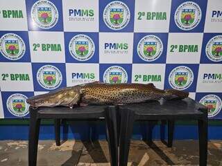 Pescador flagrado com peixe de 21 kg é multado em R$ 33,8 mil Pescador flagrado com peixe de 21 kg é multado em R$ 33,8 mil