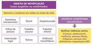 Violência contra mulheres representa 30% das notificações em unidades de saúde Violência contra mulheres representa 30% das notificações em unidades de saúde