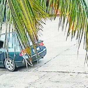 Manobra feita por bombeiro salva menina de 2 anos engasgada com bala