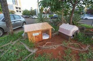 Rotatória que virou pracinha ganhou apelido cômico e carregado de interrogações Rotatória que virou pracinha ganhou apelido cômico e carregado de interrogações