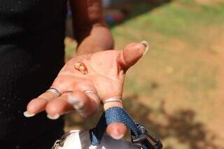 Mulher é esfaqueada ao impedir que inquilina fosse morta pelo companheiro Mulher é esfaqueada ao impedir que inquilina fosse morta pelo companheiro