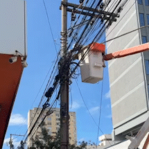 Opera&ccedil;&atilde;o faz &quot;faxina&quot; em 5,7% dos postes, mas a&ccedil;&atilde;o vai continuar em 2026