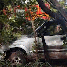 Estreia frustrada: caminhonete bate em &aacute;rvores no mesmo dia da compra