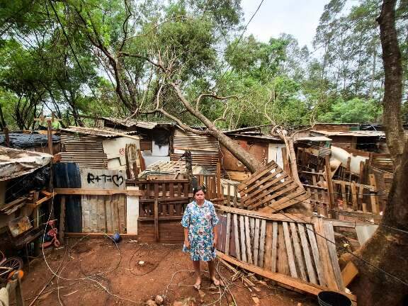 Ventania derruba &aacute;rvore sobre barraco e comunidade cobra ajuda para retirada