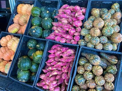 Batata-doce fica mais barata, enquanto jil&oacute; e cebola lideram altas da semana