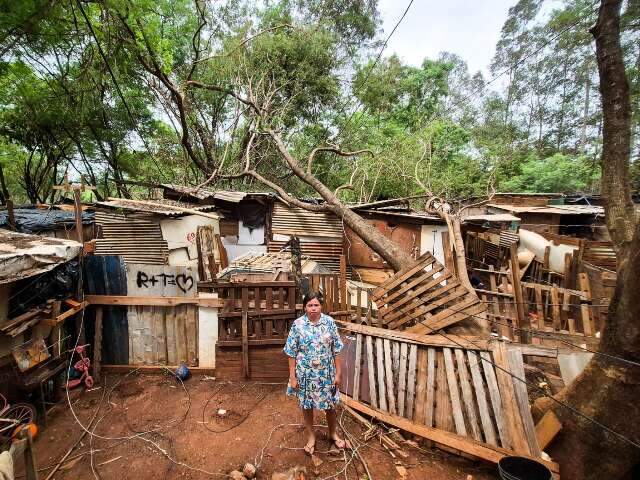 Ventania derruba &aacute;rvore sobre barraco e comunidade quer ajuda para retirada