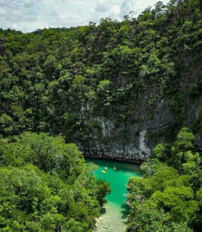 Se não vai para lugar de praia, escolha passeios de ecoturismo