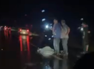 Corpo é encontrado no asfalto após carro sair de pista na MS-386 Corpo é encontrado no asfalto após carro sair de pista na MS-386