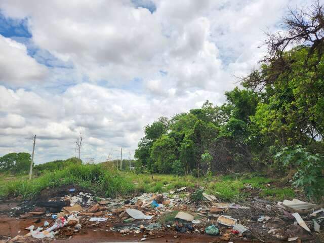TJ manda prefeitura criar plano de limpeza para terrenos p&uacute;blicos e particulares