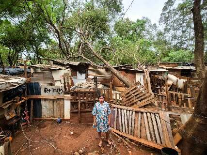 Ventania derruba &aacute;rvore sobre barraco e comunidade quer ajuda para retirada