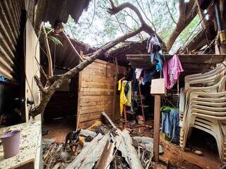 Ventania derruba &aacute;rvore sobre barraco e comunidade cobra ajuda para retirada