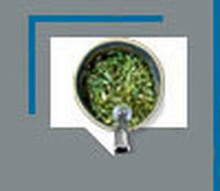 Nasce Porto Murtinho, pro&iacute;bem mulher, cacha&ccedil;a e baralho