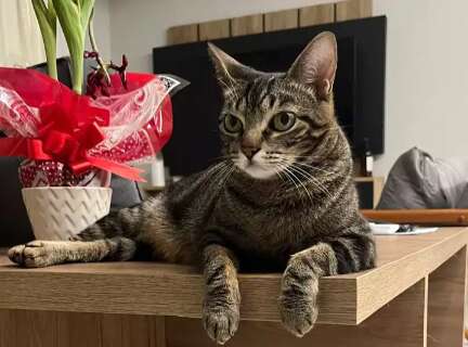 Desaparecida h&aacute; 4 dias, Nina preocupa fam&iacute;lia durante per&iacute;odo de chuvas