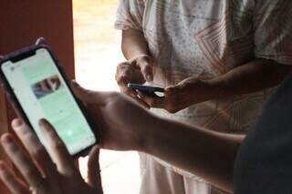 Moradores denunciam tutor de cães "caramelo" após morte de mais de 30 gatos Moradores denunciam tutor de cães "caramelo" após morte de mais de 30 gatos