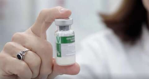 Vacina brasileira contra dengue come&ccedil;a a ser aplicada em janeiro