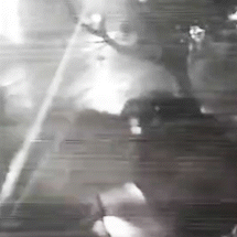 &Aacute;rvore desaba durante temporal e causa perda total em carro rec&eacute;m-comprado 