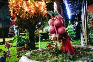 Há 42 anos dona Elza não brinca em decorar a casa para o Natal Há 42 anos dona Elza não brinca em decorar a casa para o Natal