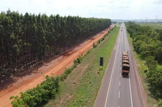 XP ignora judicialização e registra empresa para operar na rota da celulose XP ignora judicialização e registra empresa para operar na rota da celulose