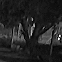 C&acirc;mera registra discuss&atilde;o, tiro e fuga de m&uacute;sico que baleou homem