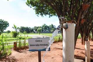 Com a&ccedil;&atilde;o &quot;formiguinha&quot;, trabalhador rala todo ano para ser campe&atilde;o da reciclagem
