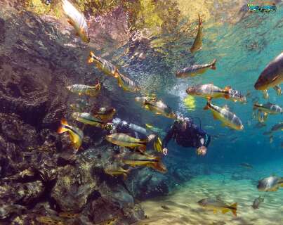 Veja dicas do que fazer na regi&atilde;o de Bonito em um dia
