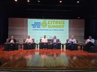 MS quer produzir melhor suco do Brasil com 100 mil hectares de laranja até 2030 MS quer produzir melhor suco do Brasil com 100 mil hectares de laranja até 2030