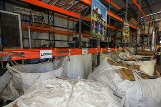 Com a&ccedil;&atilde;o &quot;formiguinha&quot;, trabalhador rala todo ano para ser campe&atilde;o da reciclagem