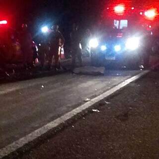 Motociclista morre ap&oacute;s atingir capivara e ser atropelada na BR-262