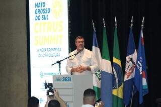 MS quer produzir melhor suco do Brasil com 100 mil hectares de laranja até 2030 MS quer produzir melhor suco do Brasil com 100 mil hectares de laranja até 2030