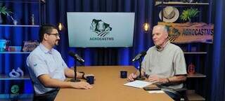 Novilho Precoce melhora a produtividade da pecuária Novilho Precoce melhora a produtividade da pecuária