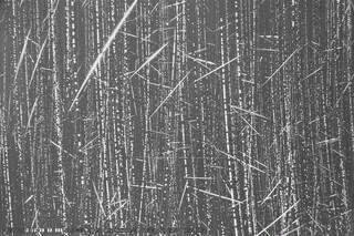 Espet&aacute;culo no c&eacute;u: durante pico, MS poder&aacute; observar at&eacute; 51 meteoros por hora 