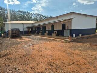 Com salários de até R$ 7 mil, produção de laranja deve ampliar vagas em MS Com salários de até R$ 7 mil, produção de laranja deve ampliar vagas em MS