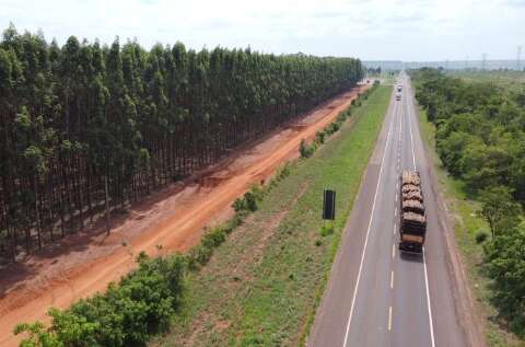 XP formaliza cria&ccedil;&atilde;o de empresa que pretende operar na Rota da Celulose em MS