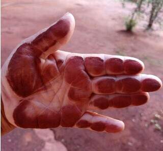 Com caminhões de minério passando na porta 24h, moradores pedem ajuda ao MP Com caminhões de minério passando na porta 24h, moradores pedem ajuda ao MP
