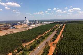 Grãos, laranja e celulose impulsionam crescimento de 18% do agro em MS em 2025 Grãos, laranja e celulose impulsionam crescimento de 18% do agro em MS em 2025