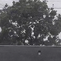 Chuva chega na Capital confirmando alerta de tempestade no Estado 