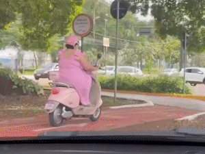 Lari &eacute; a Pen&eacute;lope Charmosa que arrasa com motinha rosa em avenida