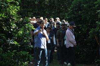 Com salários de até R$ 7 mil, produção de laranja deve ampliar vagas em MS Com salários de até R$ 7 mil, produção de laranja deve ampliar vagas em MS