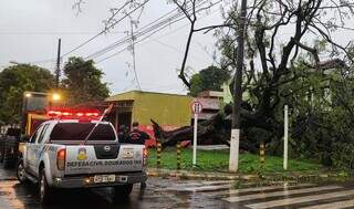 Dourados tem temporal com vento de 43 km por hora e chuva intensa Dourados tem temporal com vento de 43 km por hora e chuva intensa
