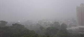 Chuva com vento derruba árvore em carro no Monte Castelo Chuva com vento derruba árvore em carro no Monte Castelo