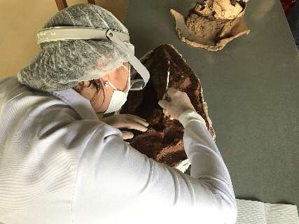 MS ter&aacute; pesquisa sobre prote&ccedil;&atilde;o de s&iacute;tios arqueol&oacute;gicos das mudan&ccedil;as clim&aacute;ticas