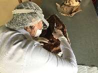 MS ter&aacute; pesquisa sobre prote&ccedil;&atilde;o de s&iacute;tios arqueol&oacute;gicos das mudan&ccedil;as clim&aacute;ticas