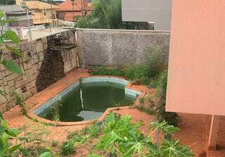 Piscina abandonada em bairro nobre acende alerta sobre focos de dengue Piscina abandonada em bairro nobre acende alerta sobre focos de dengue