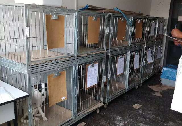 Falta de veterin&aacute;rio &agrave; noite no Centro de Zoonoses vira alvo de apura&ccedil;&atilde;o